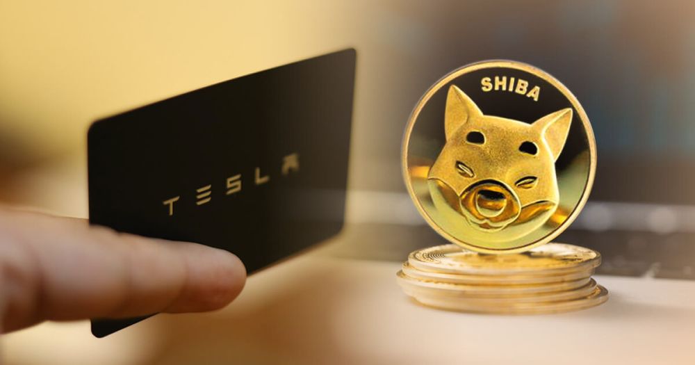 ¿Tesla comenzará a aceptar a Shiba Inu como método de pago?