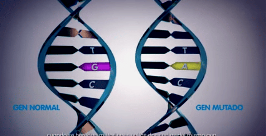 ¿Cuándo se debe hacer un test de compatibilidad genética?