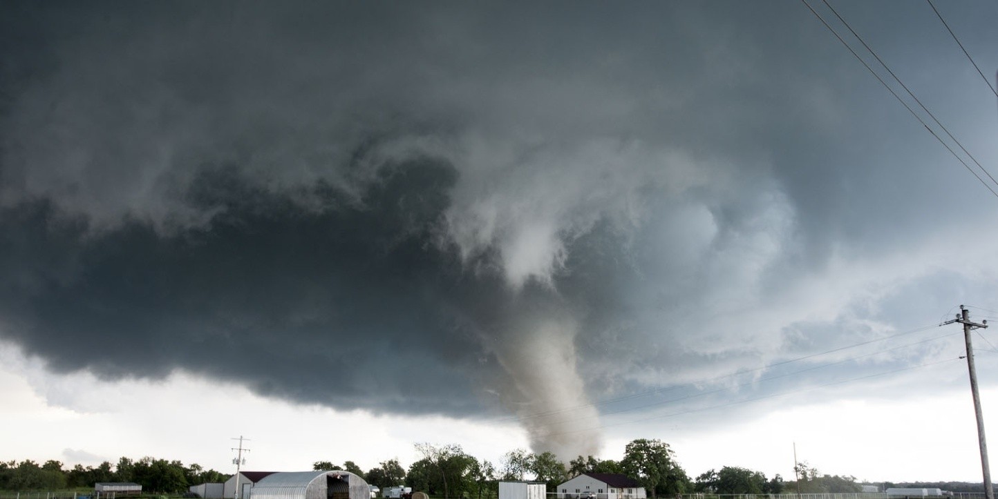 Un tornado tiró un árbol sobre mi casa, ¿a quién reclamo?