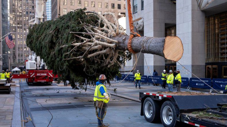 Encenderán el árbol de Navidad de Nueva York, este miércoles, bajo normas de cuarentena