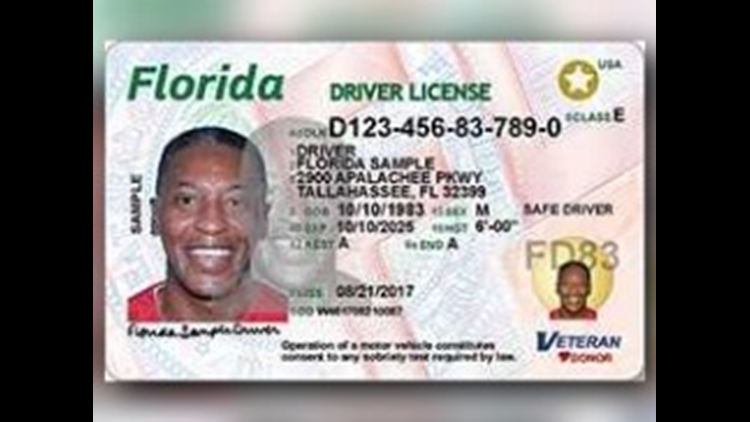 Proyecto de Ley de Florida otorga licencias de conducir a inmigrantes ilegales