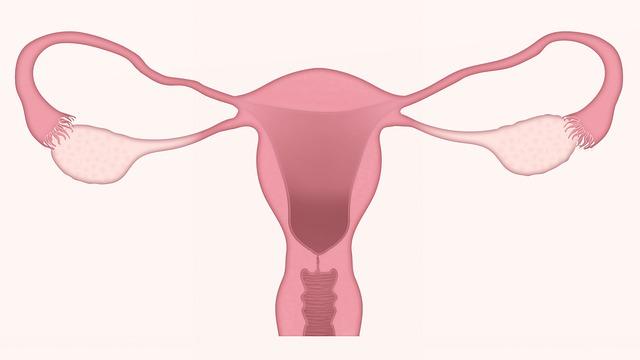 Vacunas contra el Covid afectan el ciclo menstrual