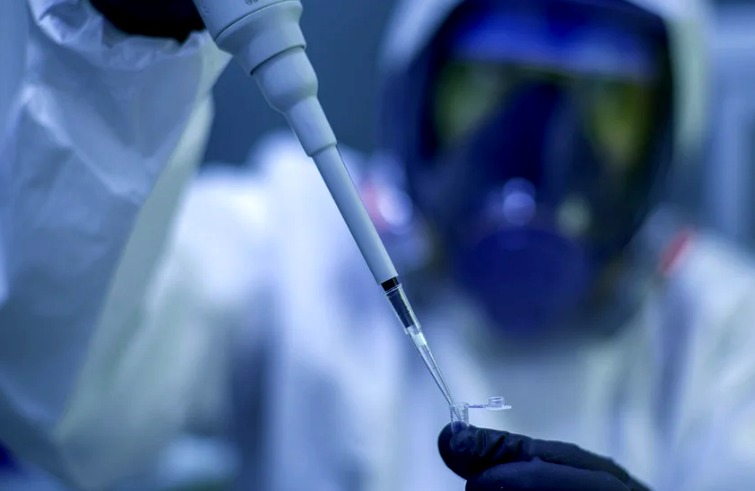 EE.UU. probará en humanos una vacuna experimental contra el cáncer tras el éxito de las pruebas en animales