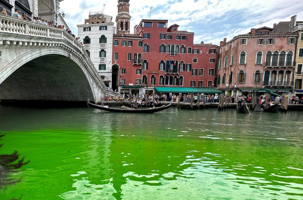 Extraña aparición manchó de verde las aguas en Gran Canal de Venecia