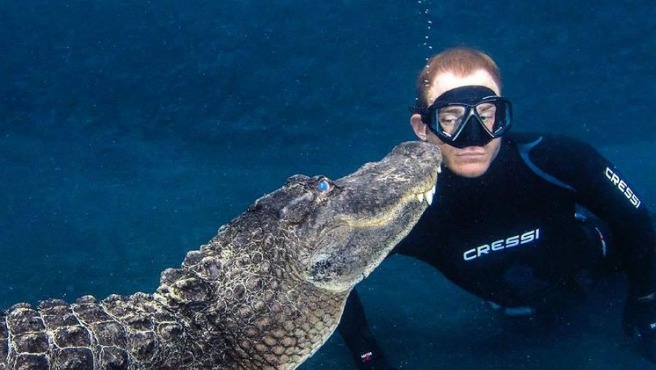 El increíble vídeo viral de un biólogo entrando a una piscina llena de cocodrilos
