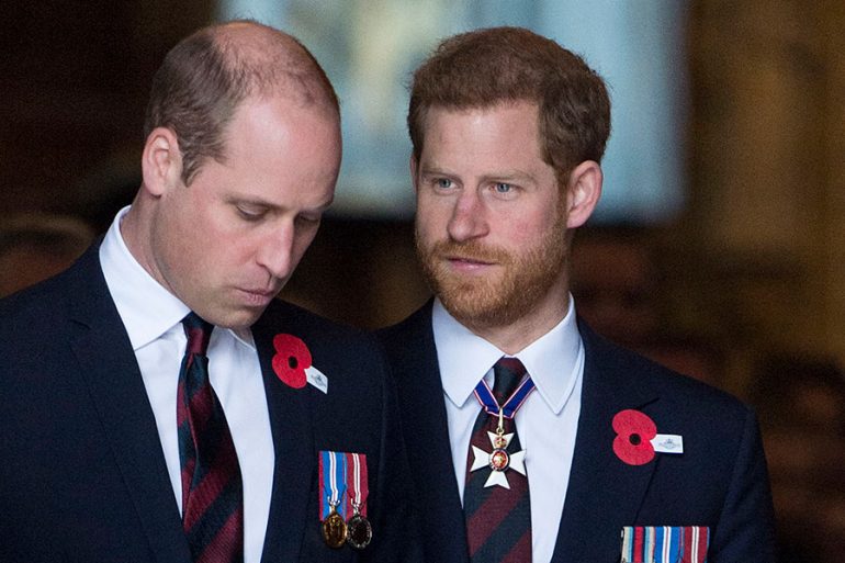 En medio de crisis de la familia real: Príncipes William y Harry emiten declaración conjunta
