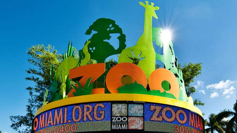 ¡Nuevo Récord! Zoo de Miami pasó el millón de visitantes en 2021