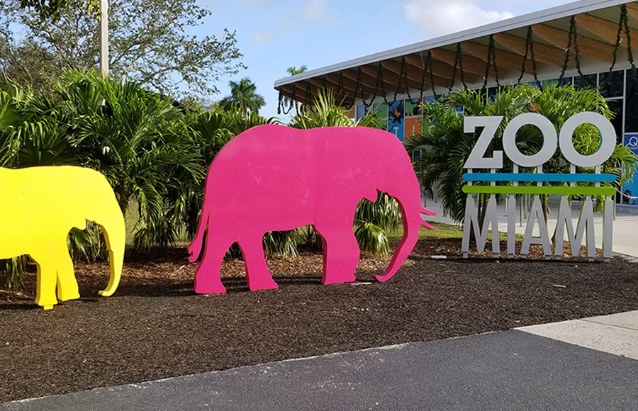 Zoo Miami celebra nacimiento histórico: Una especie en peligro