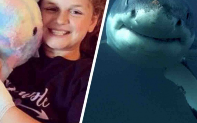Niña de 10 años fue atacada por un tiburón en una playa de St. Johns